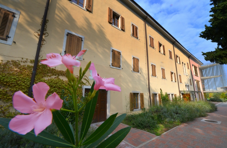 Frančiškanski Samostan Koper