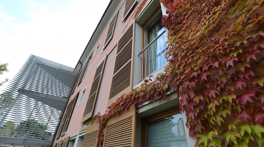 Frančiškanski Samostan Koper